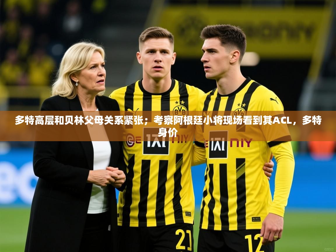 2025九游娱乐官网入口网页版官方多特高层和贝林父母关系紧张；考察阿根廷小将现场看到其ACL，多特身价  第4张
