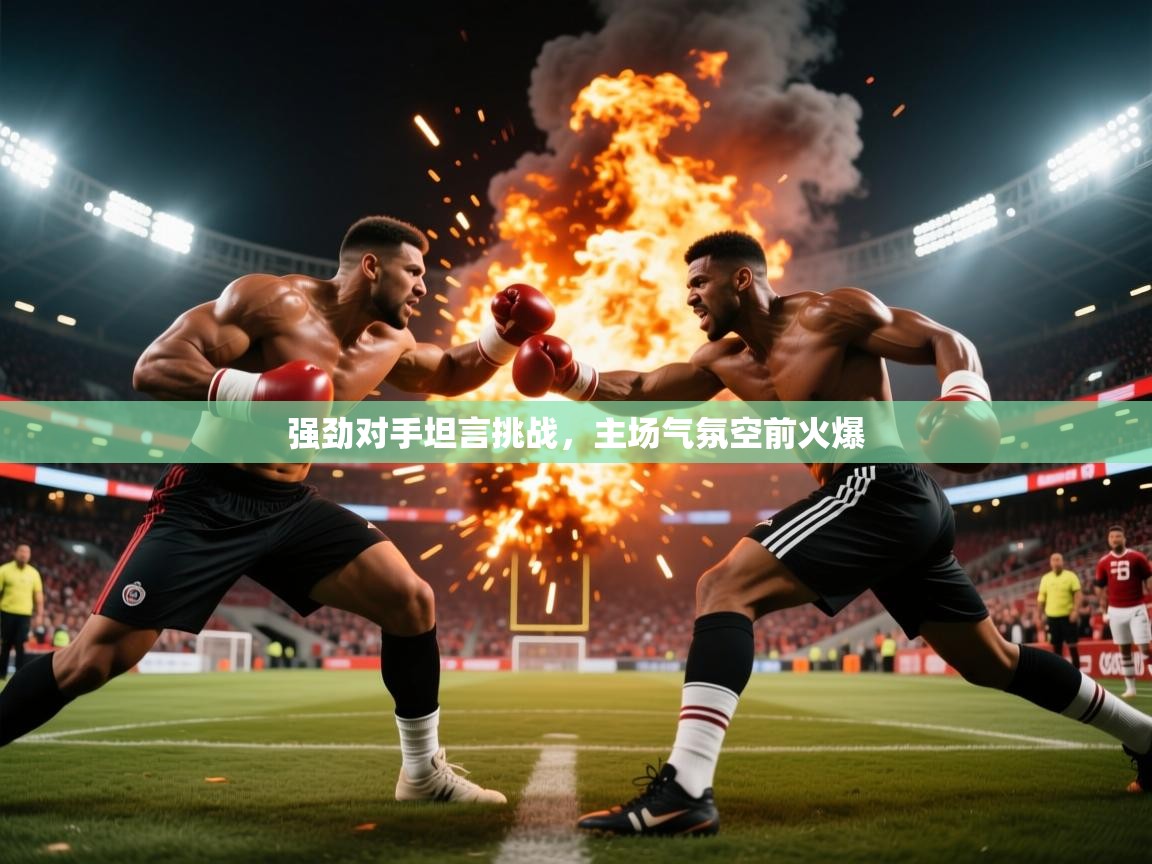 2026九游娱乐网站赞助的不莱梅强劲对手坦言挑战，主场气氛空前火爆  第4张