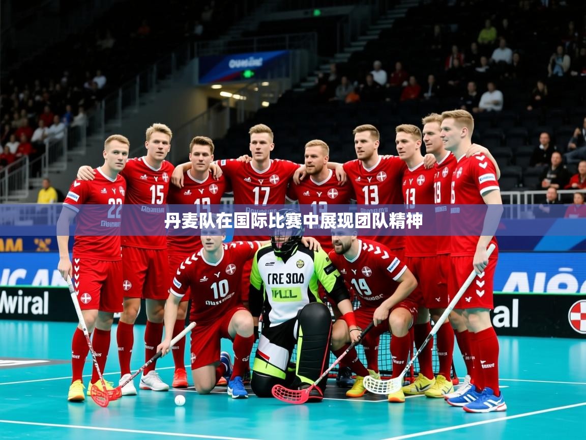 2026九游娱乐官网登录入口丹麦队在国际比赛中展现团队精神