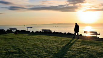 2025九游娱乐app体验棒保罗要求交易？太阳老孤似乎已无法挽救